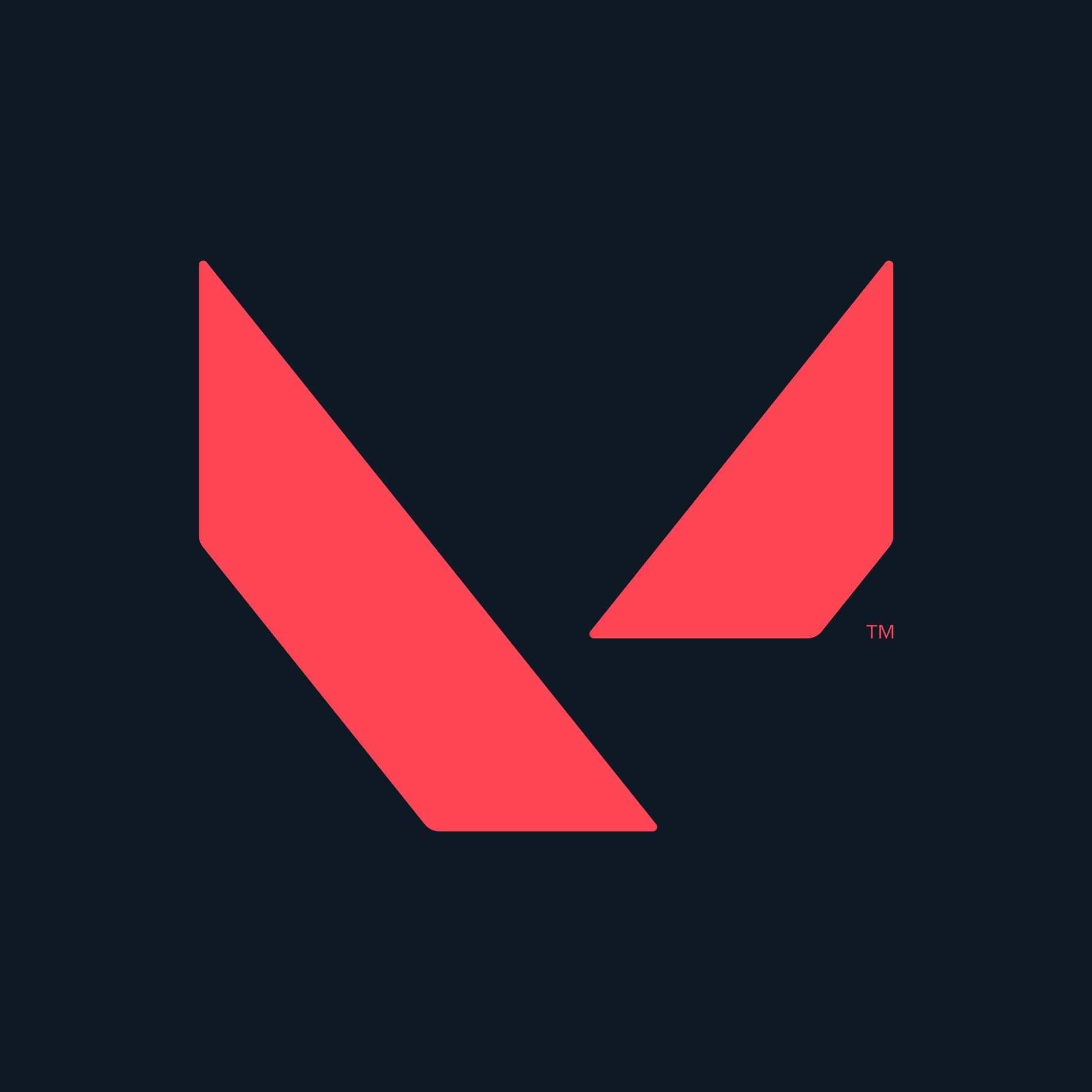 VALORANT DIG